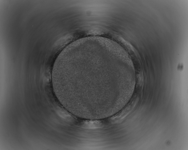 X0000101230517200807251137