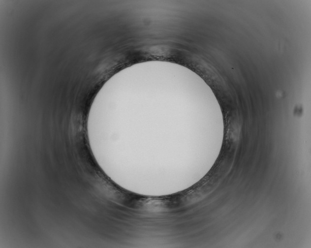 X0000101230518200807251137