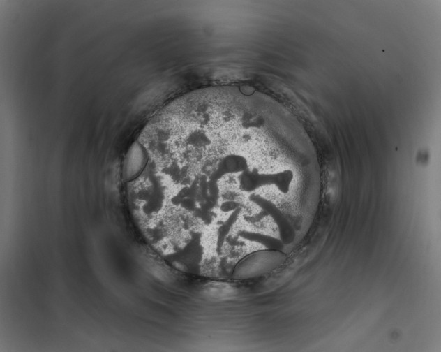 X0000101230519200807251137