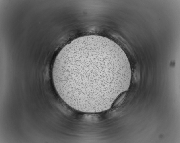 X0000101230520200807251137