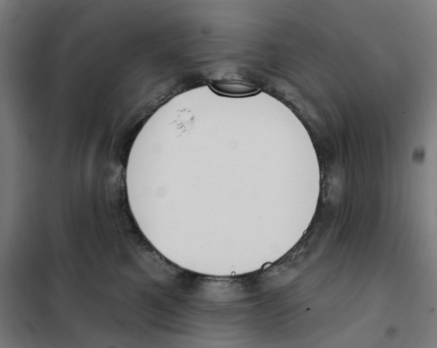 X0000101230521200807251137