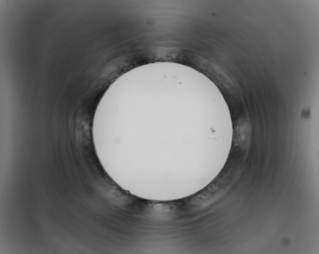 X0000101230522200807251137