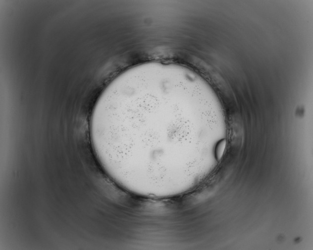 X0000101230523200807251137