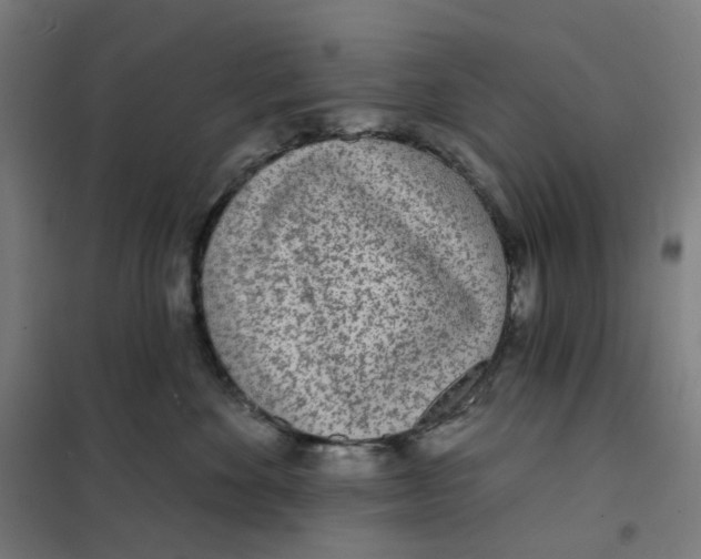 X0000101230524200807251137