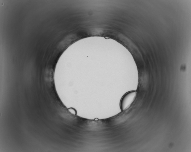 X0000101230525200807251137