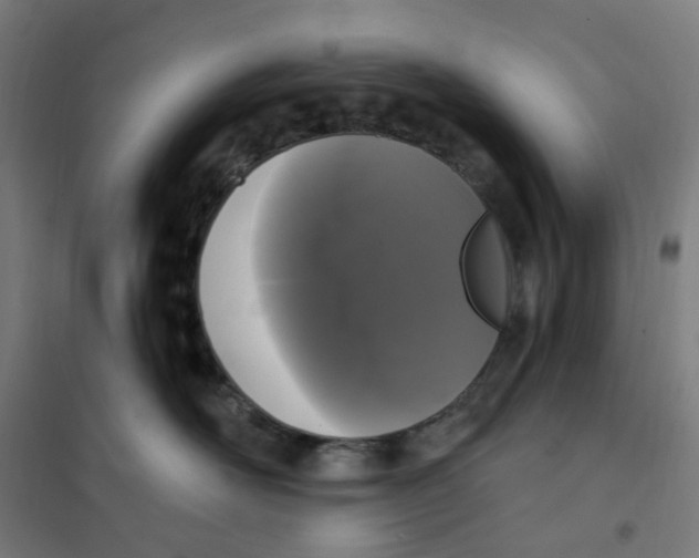 X0000101230526200807251137