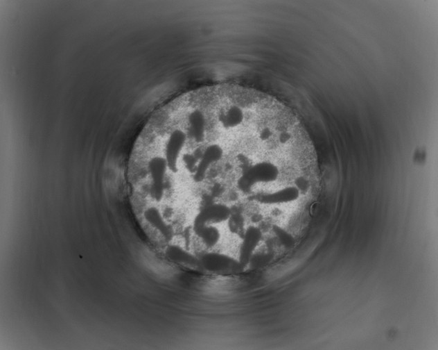 X0000101230527200807251137