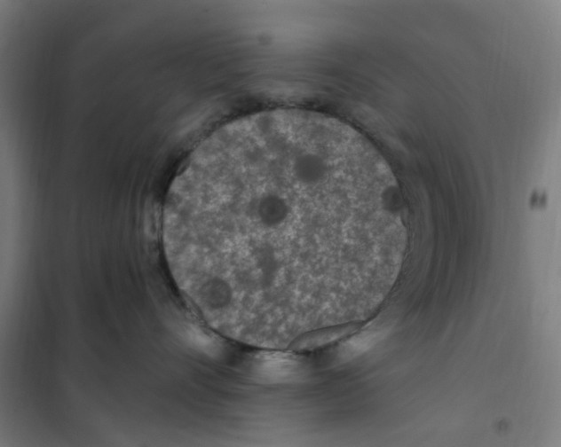 X0000101230528200807251137