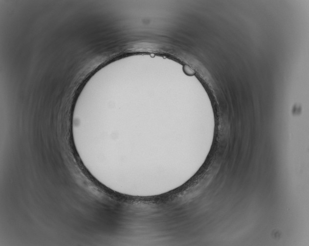 X0000101230529200807251136
