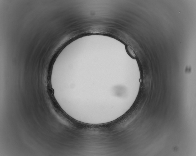 X0000101230530200807251136