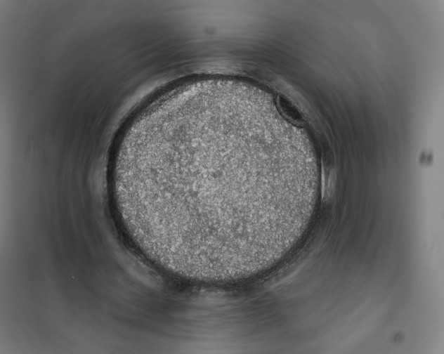 X0000101230531200807251136