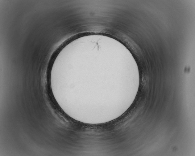 X0000101230532200807251136