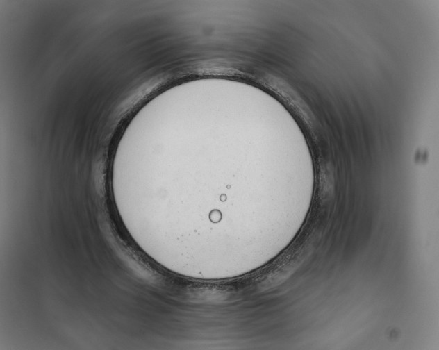 X0000101230533200807251136