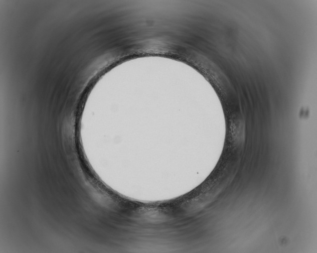 X0000101230534200807251136