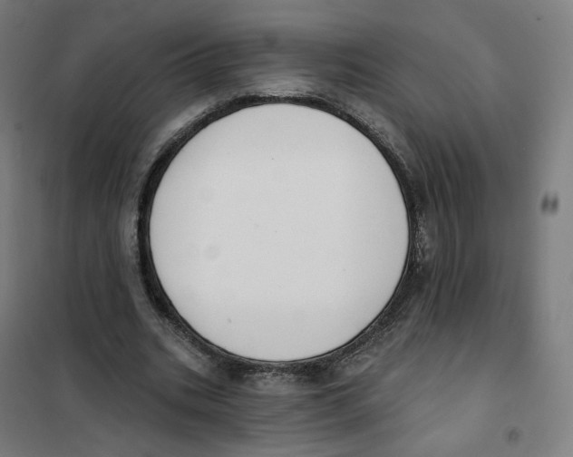 X0000101230535200807251136