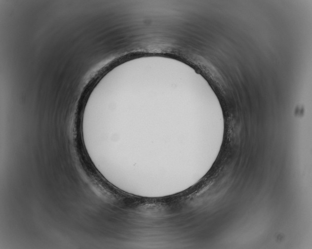 X0000101230536200807251136