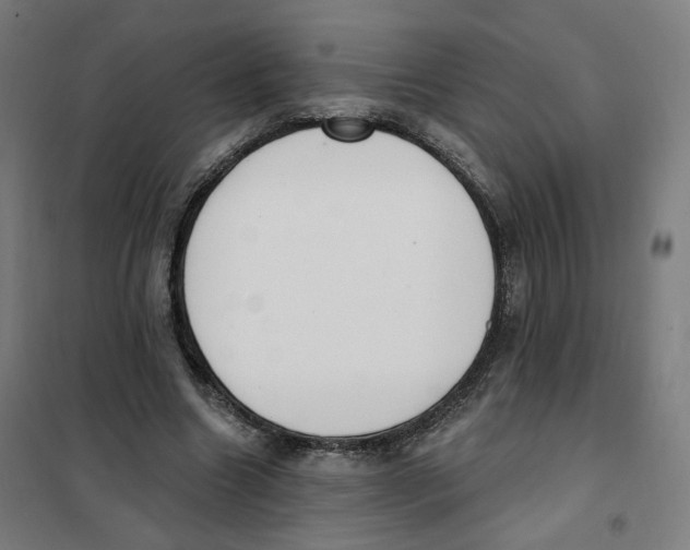 X0000101230538200807251136