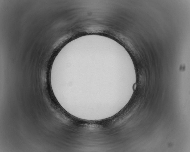 X0000101230539200807251136