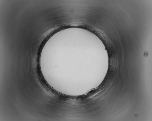 X0000101230540200807251136