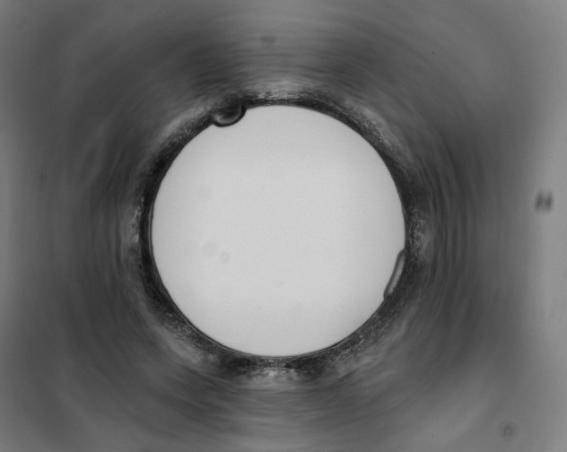 X0000101230543200807251136