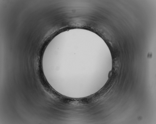 X0000101230544200807251136