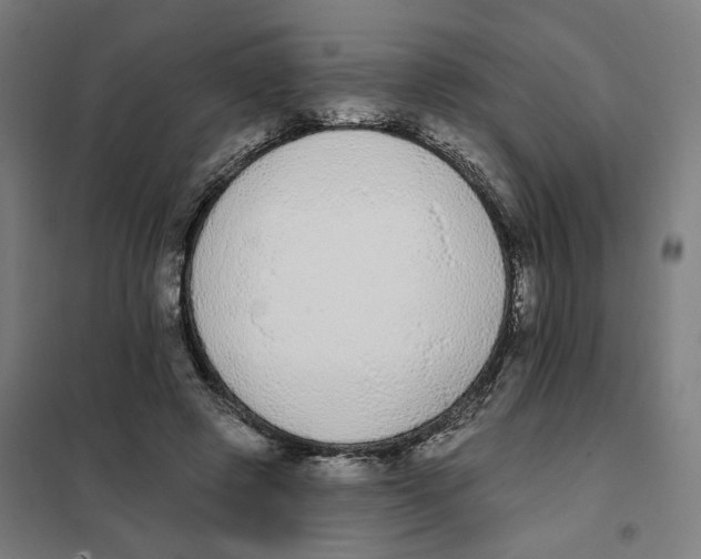 X0000101230545200807251136