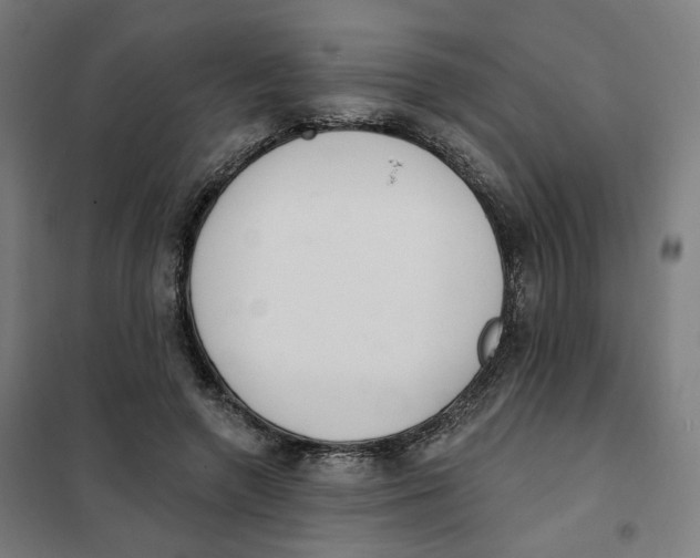 X0000101230546200807251136