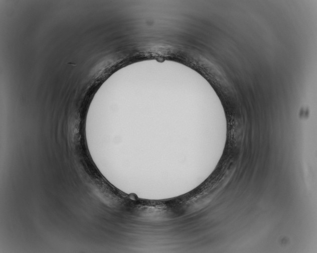 X0000101230548200807251136