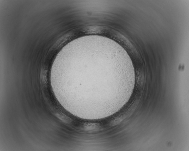 X0000101230549200807251136