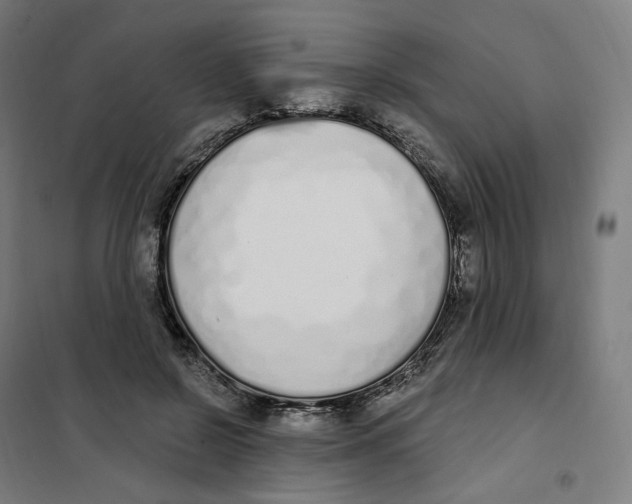 X0000101230550200807251136