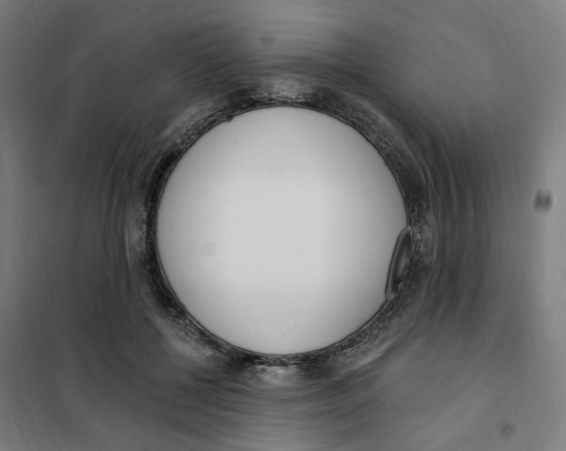 X0000101230552200807251136