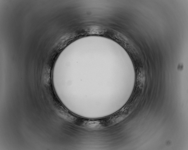 X0000101230554200807251136