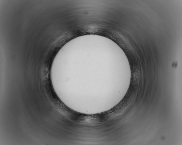 X0000101230555200807251136