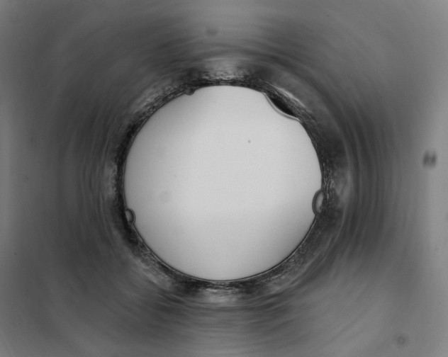 X0000101230556200807251136