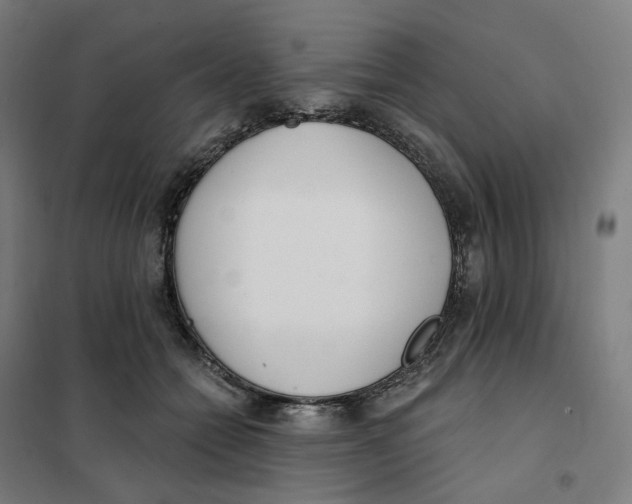 X0000101230558200807251136