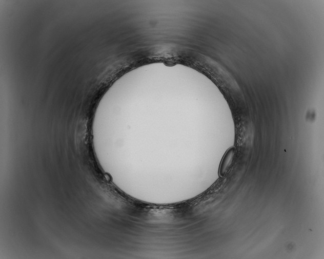 X0000101230560200807251137