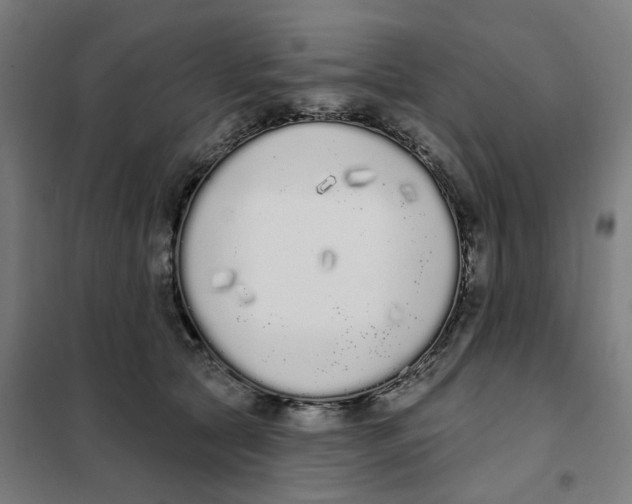 X0000101230561200807251137