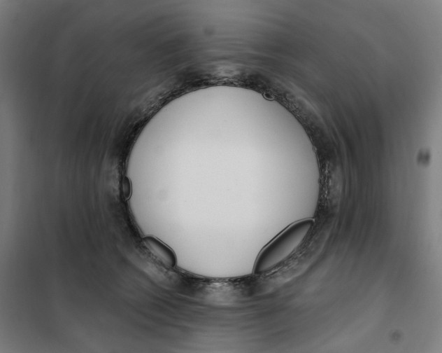 X0000101230562200807251137