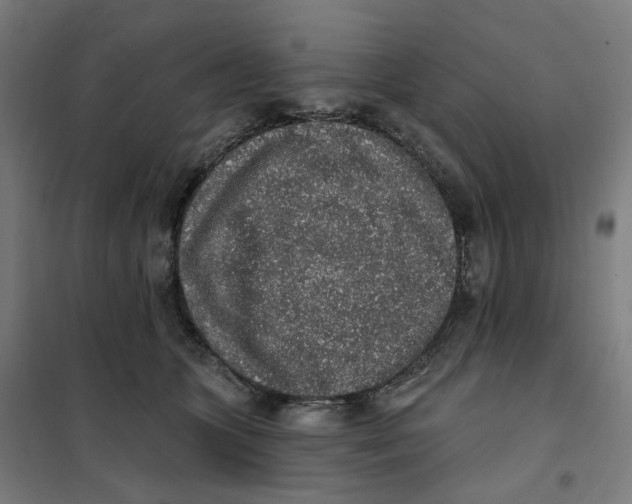 X0000101230563200807251137