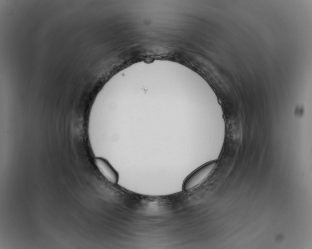 X0000101230564200807251137