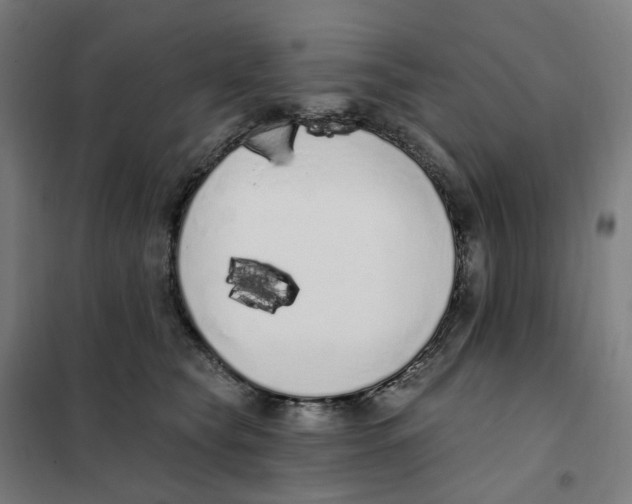 X0000101230565200807251137