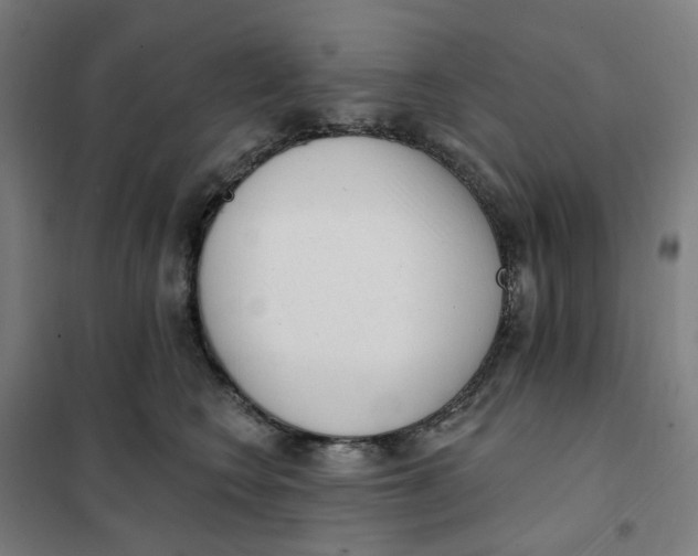 X0000101230566200807251137