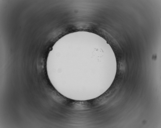 X0000101230567200807251137