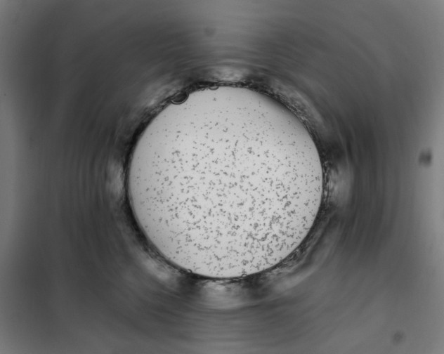 X0000101230568200807251137