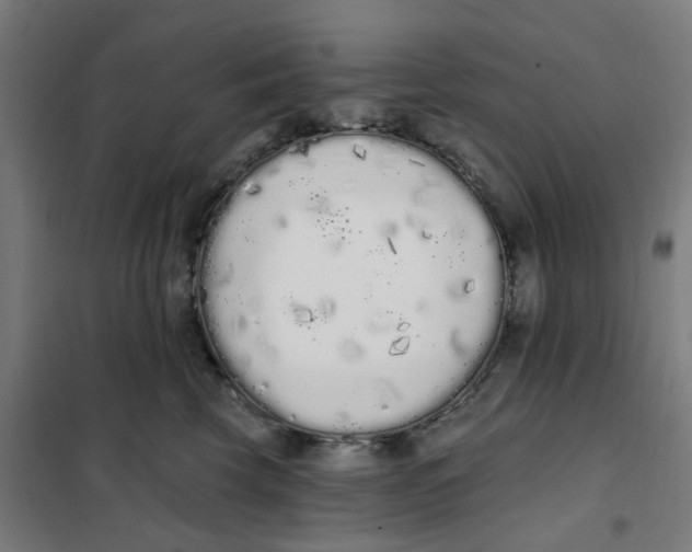 X0000101230569200807251137