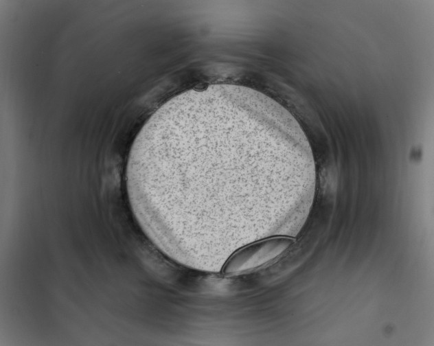 X0000101230570200807251137