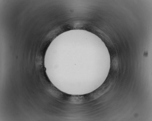 X0000101230571200807251137