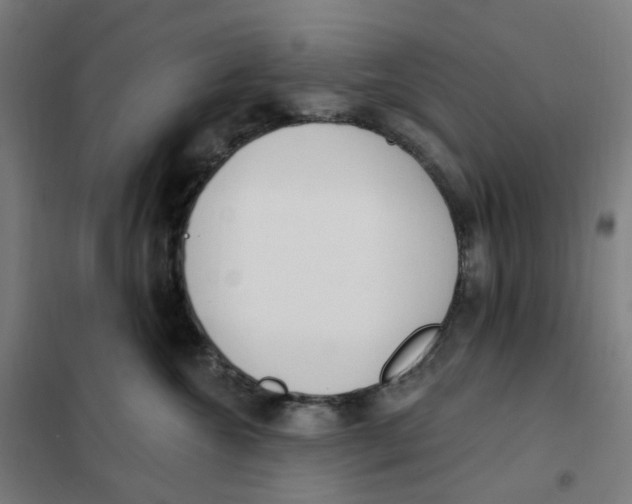 X0000101230572200807251137