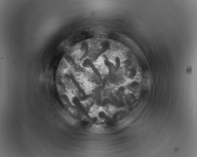 X0000101230573200807251137
