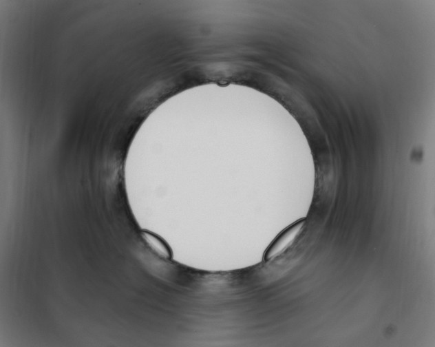 X0000101230574200807251137